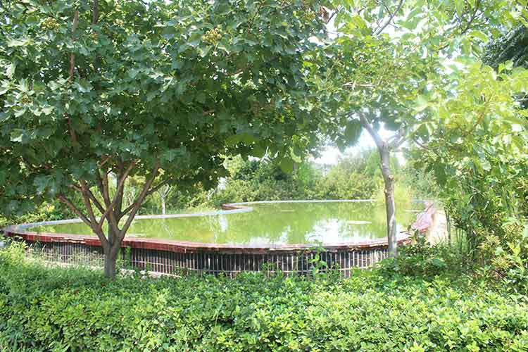 开云手机端·官方版在线-开云(中国)机械厂区环境优美